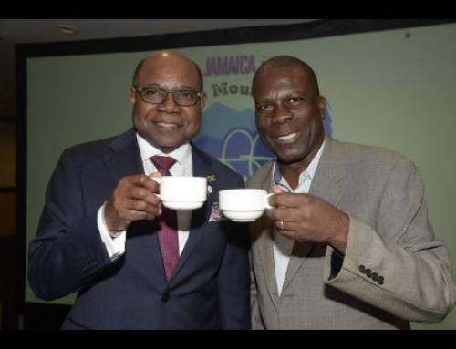 Renewed production, marketing drive to boost coffee earnings
